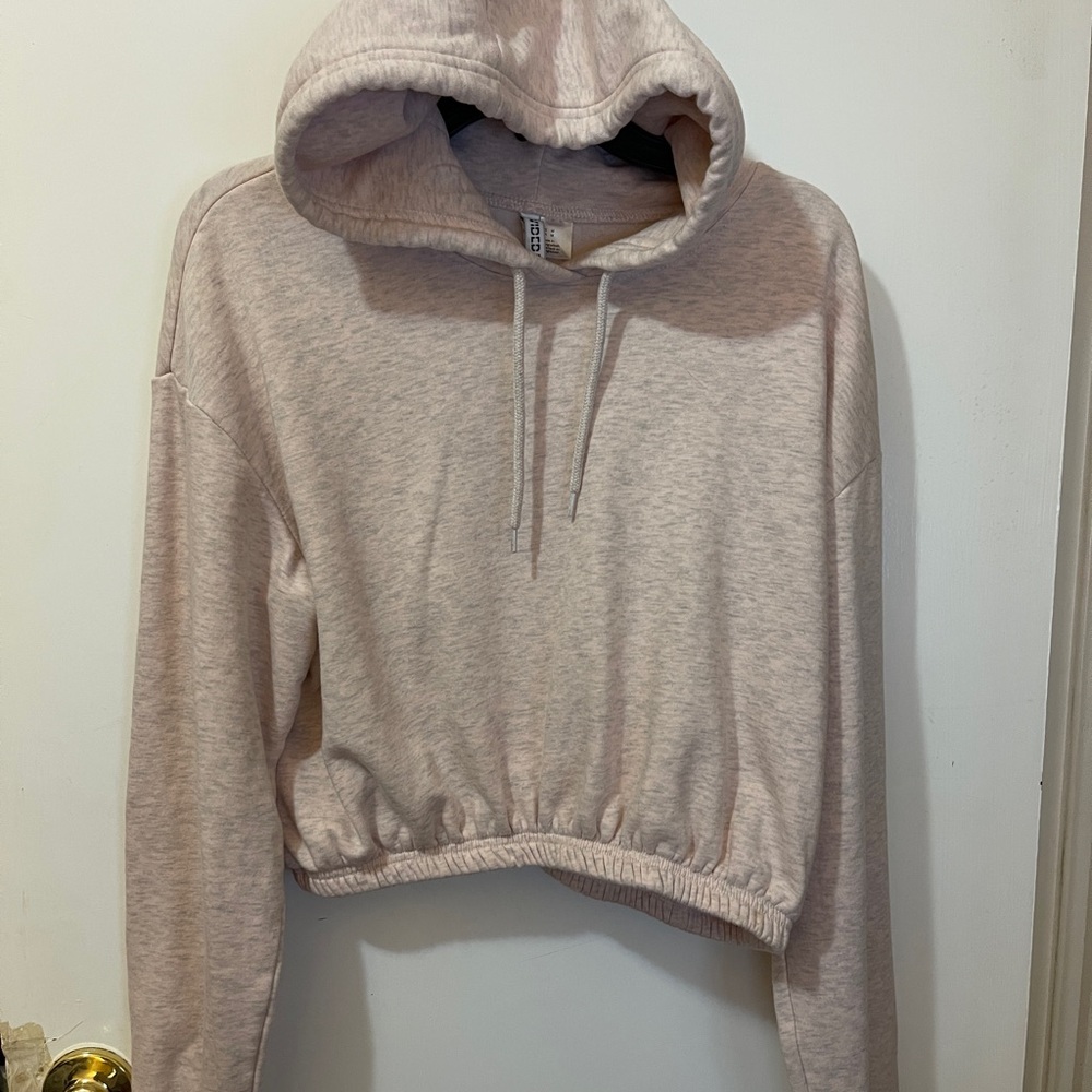 H&M Crop Long Sleeve Hoodie